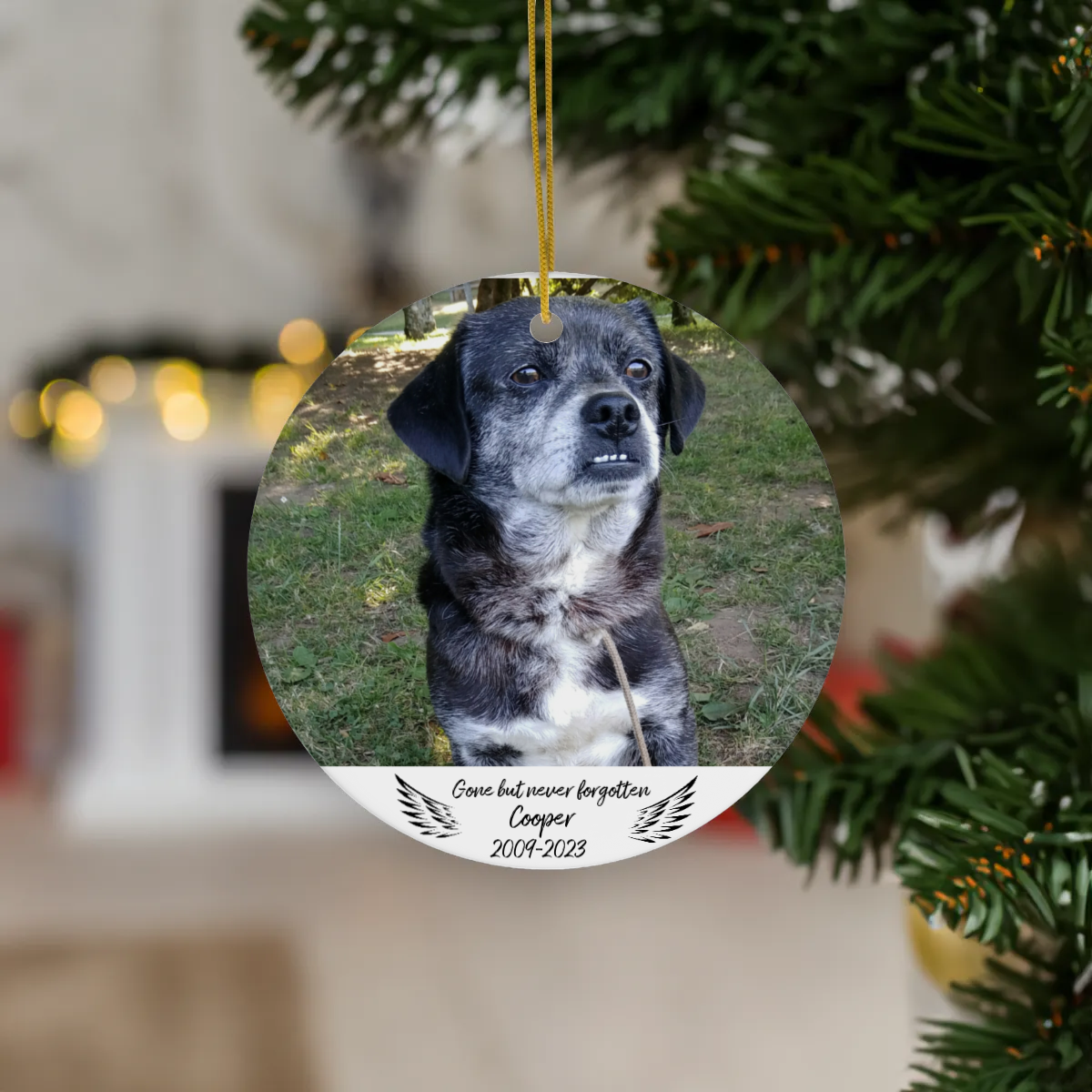 Loving Photo Pet Memorial Ceramic Ornament, 1pcs