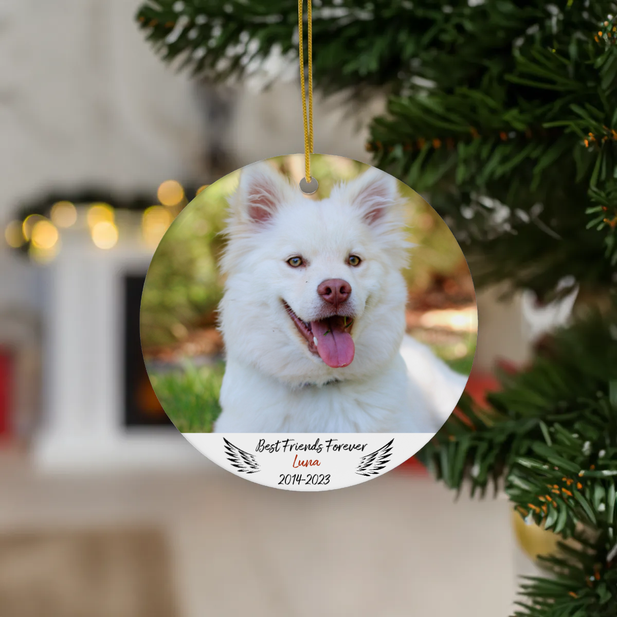 Loving Photo Pet Memorial Ceramic Ornament, 1pcs